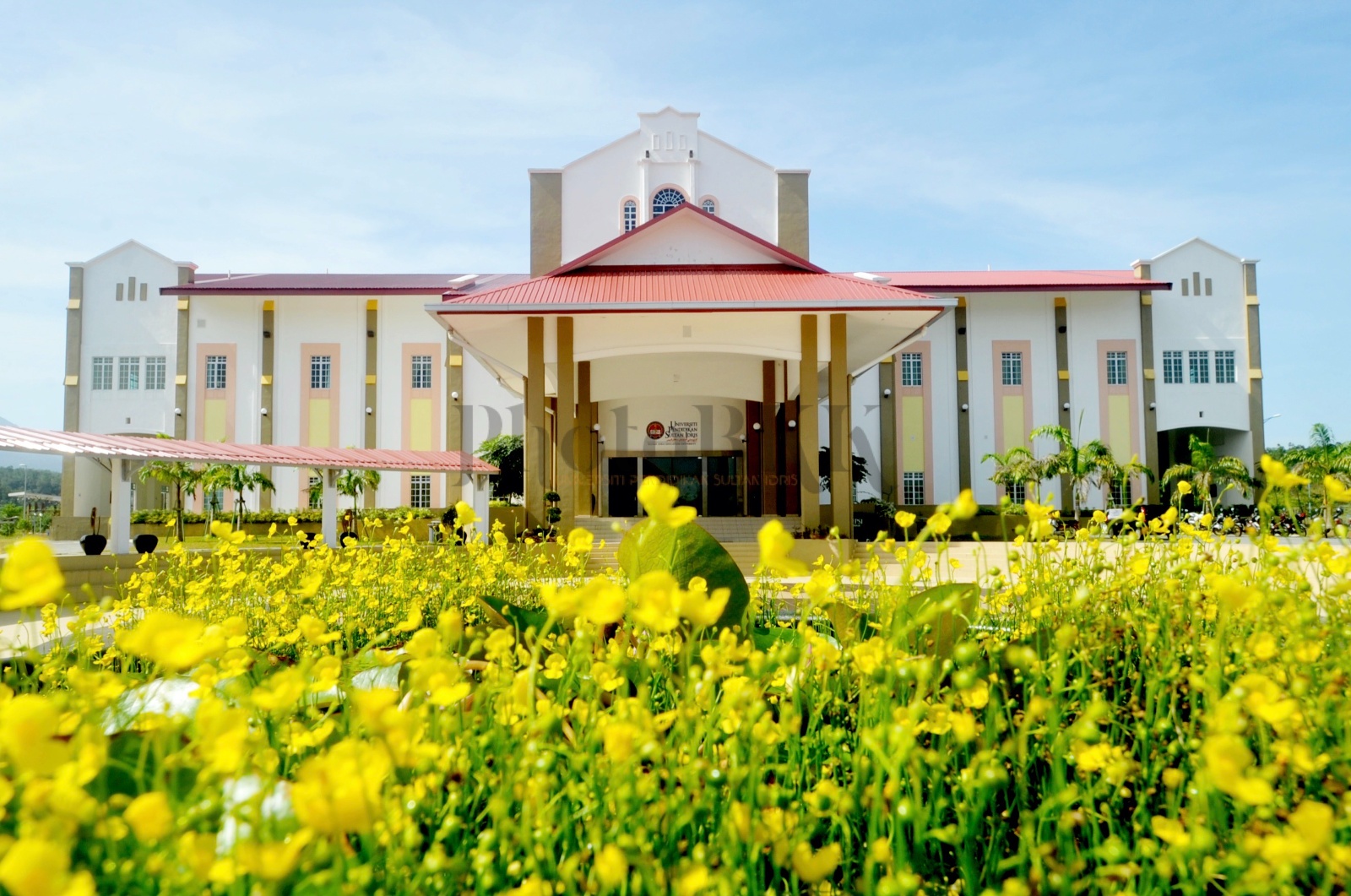 Dewan besar bunga kuning 2